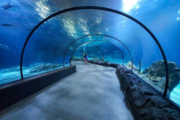 JAWAHER RESIDENCE 21